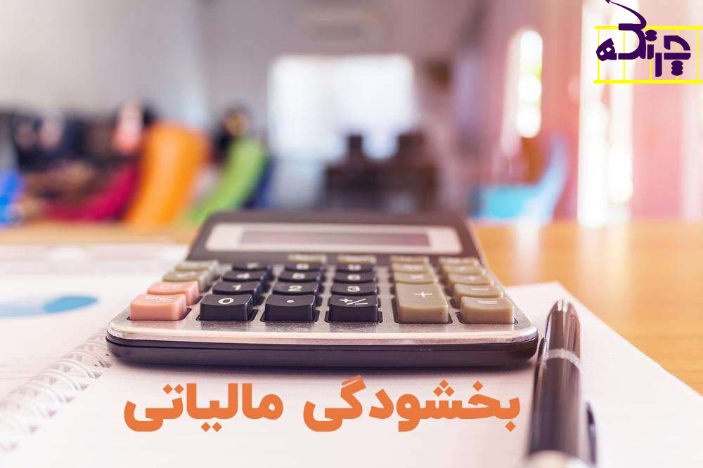 راهنمای کامل بخشودگیهای مالیاتی برای مؤدیان حقیقی و حقوقی